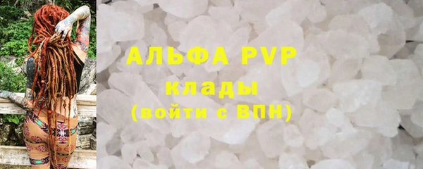 сатива Алзамай