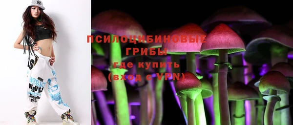 твердый Алексин
