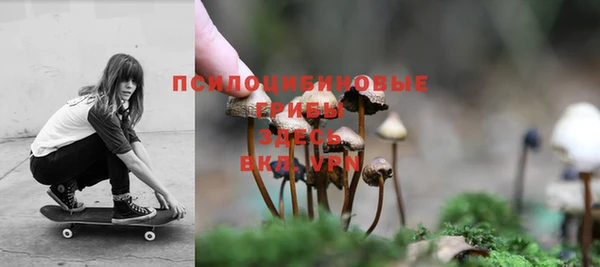 ПСИЛОЦИБИНОВЫЕ ГРИБЫ Алексеевка