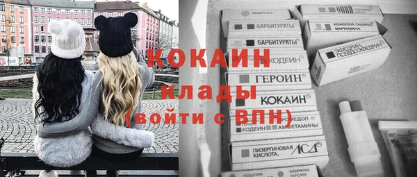 твердый Алексин