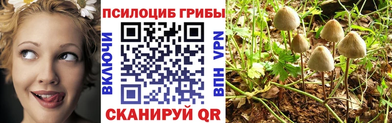 Галлюциногенные грибы Psilocybine cubensis  Усмань 